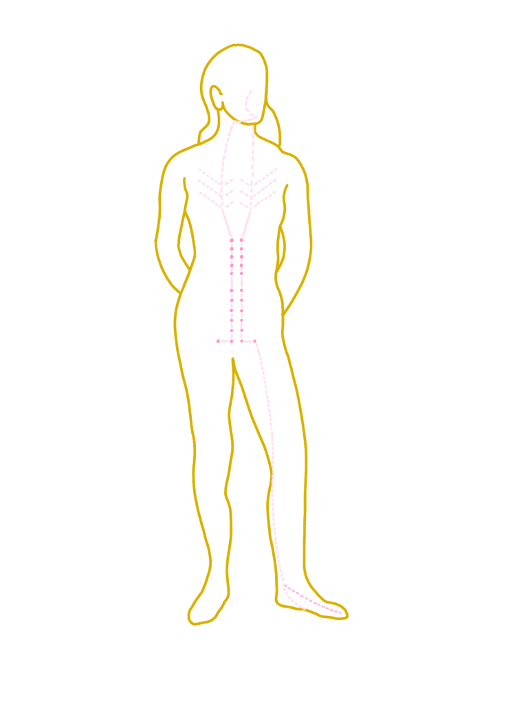 outline of a female and the Chong Mai or Penetrating Vessle